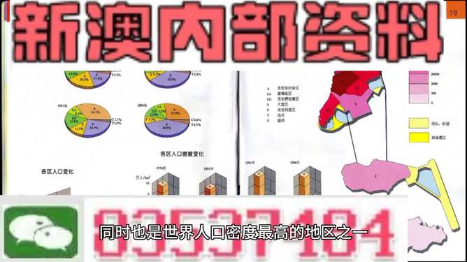 新澳新澳門正版資料,定制化執(zhí)行方案分析_專屬版36.636