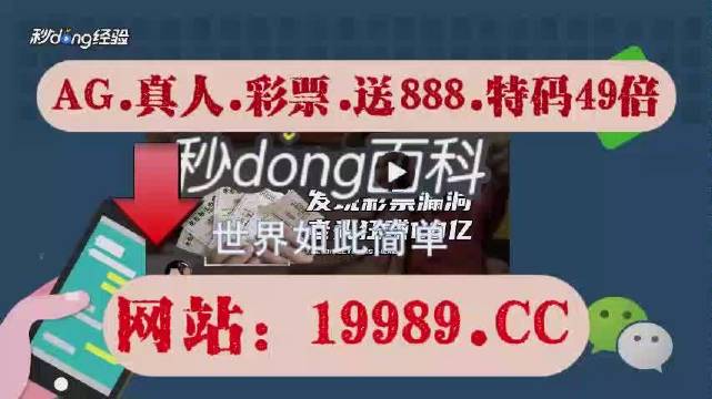 2024澳門特馬今晚開獎億彩網,收益成語分析落實_VR版44.401 - 副本