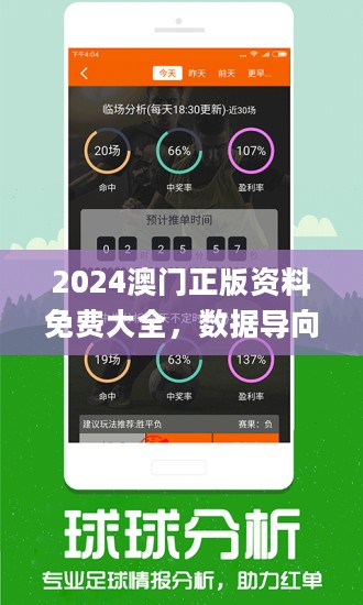 2024新澳精準正版資料,重要性解釋落實方法_XR54.821