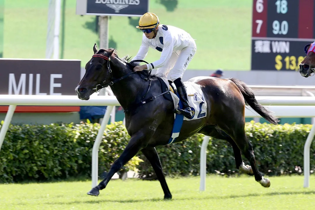 香港特馬資料王中王,可持續執行探索_復刻款80.532