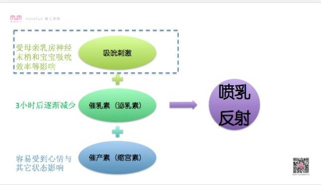 今晚澳門特馬必開一肖,理論分析解析說明_1440p28.12